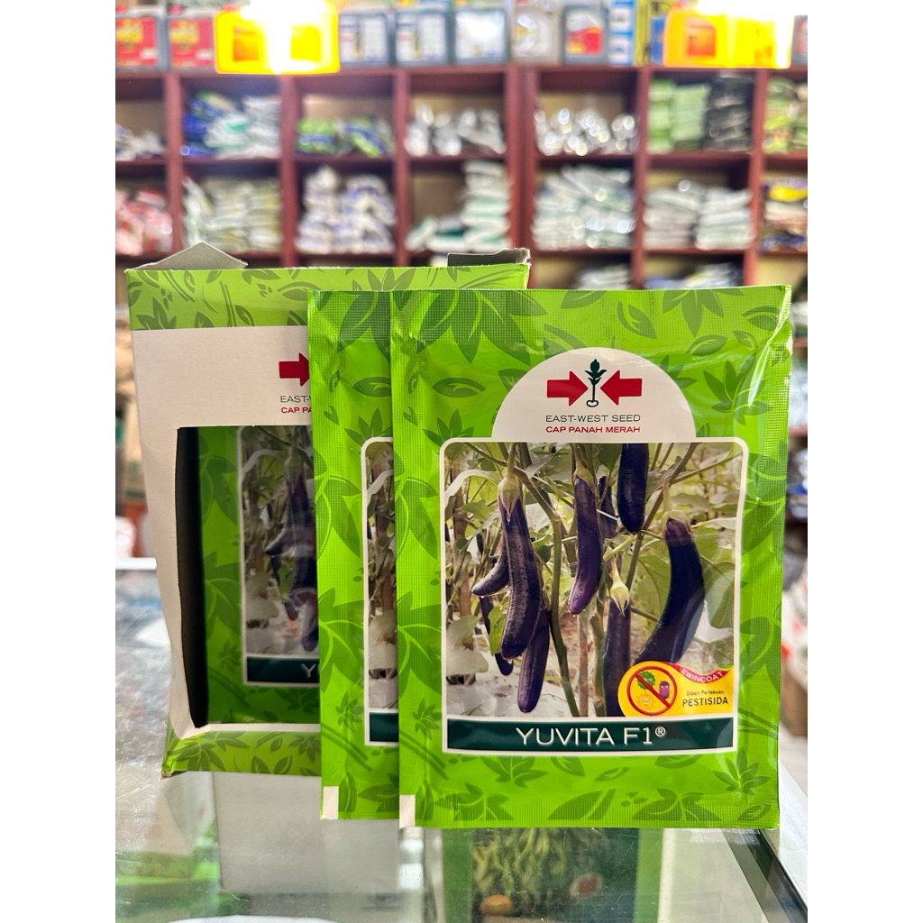 BENIH TERONG YUVITA F1 1100 butir / BIBIT TERONG UNGU YUVITA F