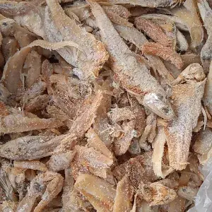 

ikan asin bulu ayam