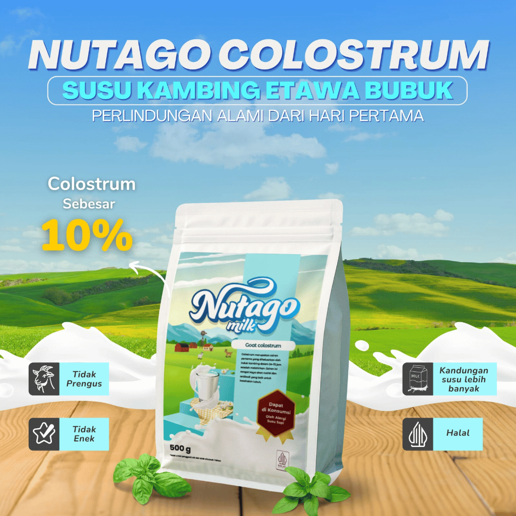 

NUTAGO Susu Kambing etawa Bubuk Colostrum Premium 500 gram Organik Alami Rendah Gula Perkuatan Tulang Sendi