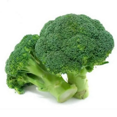 

Brokoli hijau | Jbp_Fresh