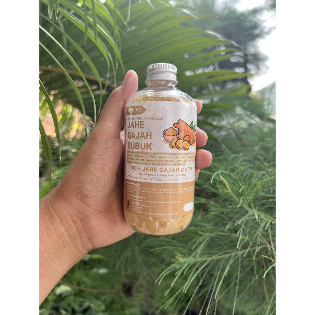 

Jahe Gajah Bubuk - Zingiber officinale Roscoe