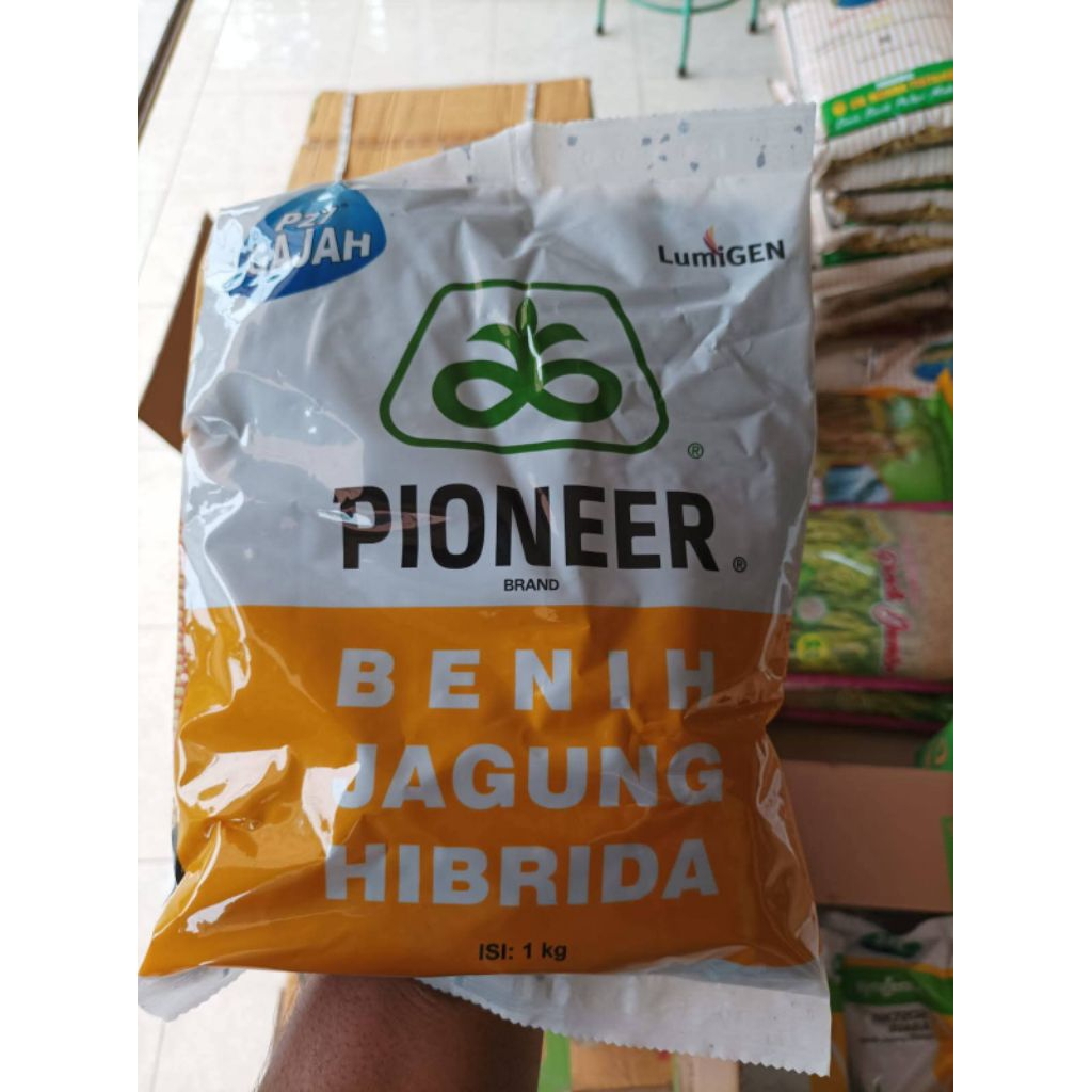 Benih Jagung P27 Lumigen Pioneer
