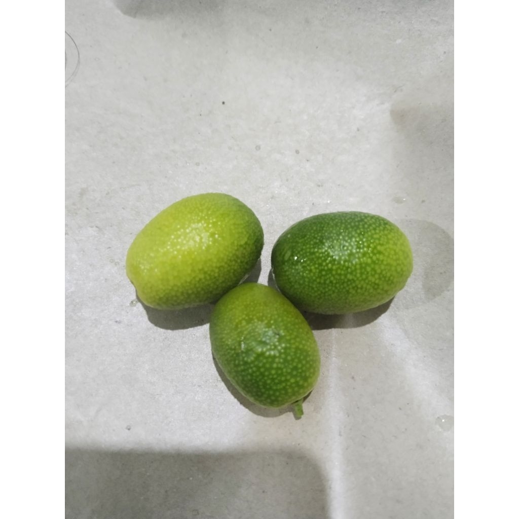 

350 gr jeruk nagami fresh, segar, dari kebun sendiri(banyak manfaatnya).