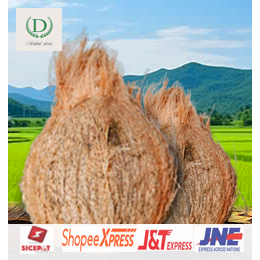 

Kelapa Tua Bahan Santan asli Tua Ukuran 1 Kiloan