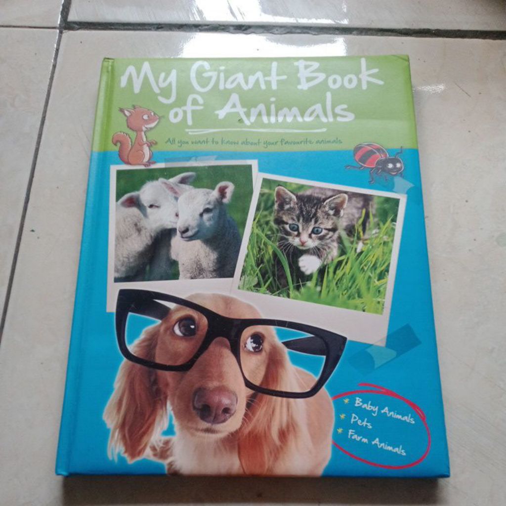 buku my Giant book of animals