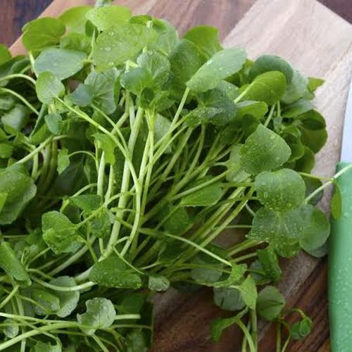 

Selada air 1 iket | Jbp_Fresh