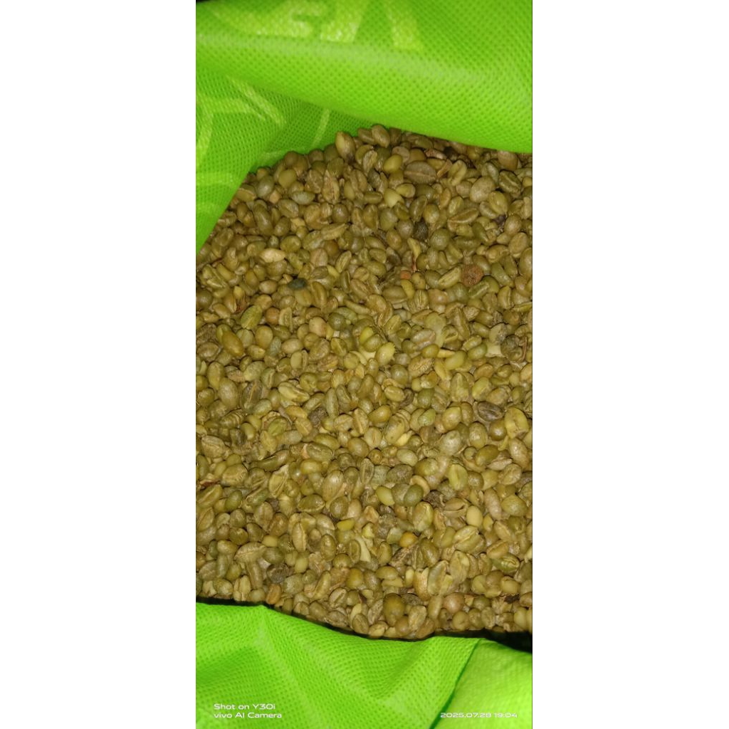 

KOPI ROBUSTA "ORGANIC" ASLI. tersisa1,5kg 100%tanpa pupuk kimia