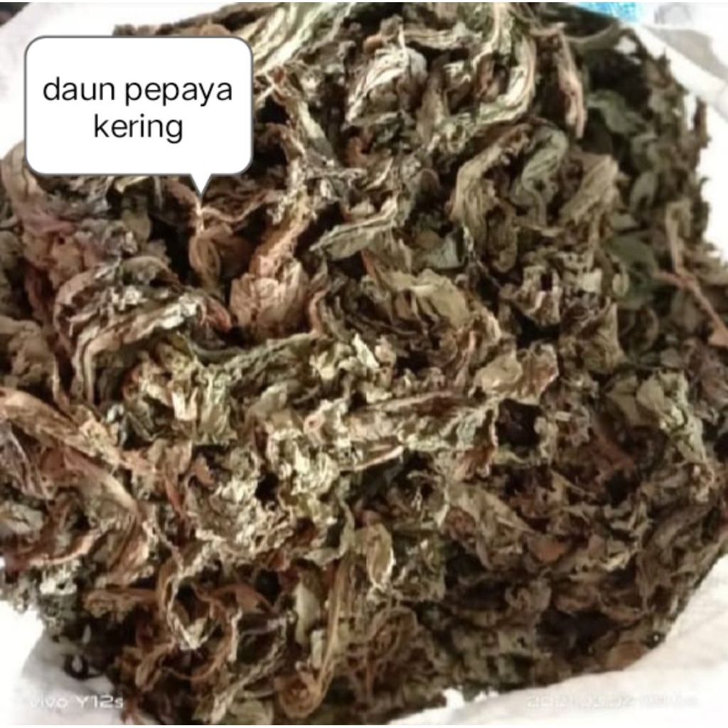 

DAUN PEPAYA KERING 1KG