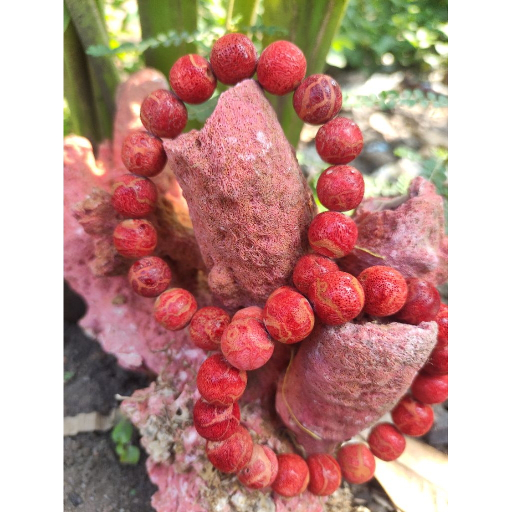 GELANG TASBIH BATU MARJAN NATURAL LAUT MERAH MESIR