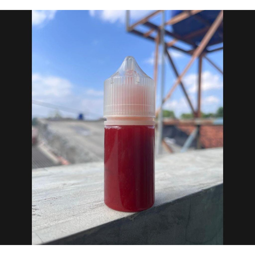 Essen Super Ampuh Buat Mancing Ikan Mas Indukan Dan Ikan Rame Essen Super Premium Khusus Ikan Mas Es