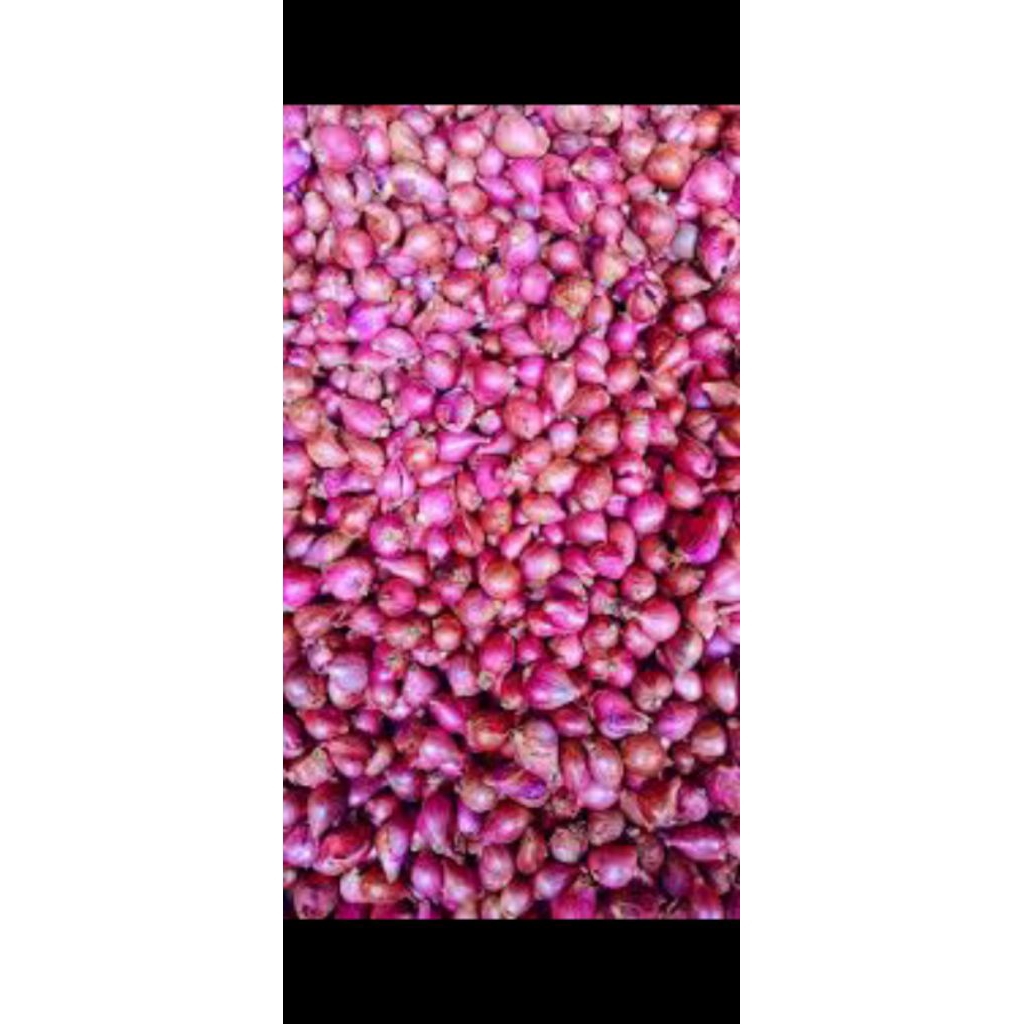 

bawangmerahberebes1kg