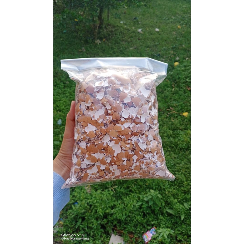 cangkang telur ayam 1kg