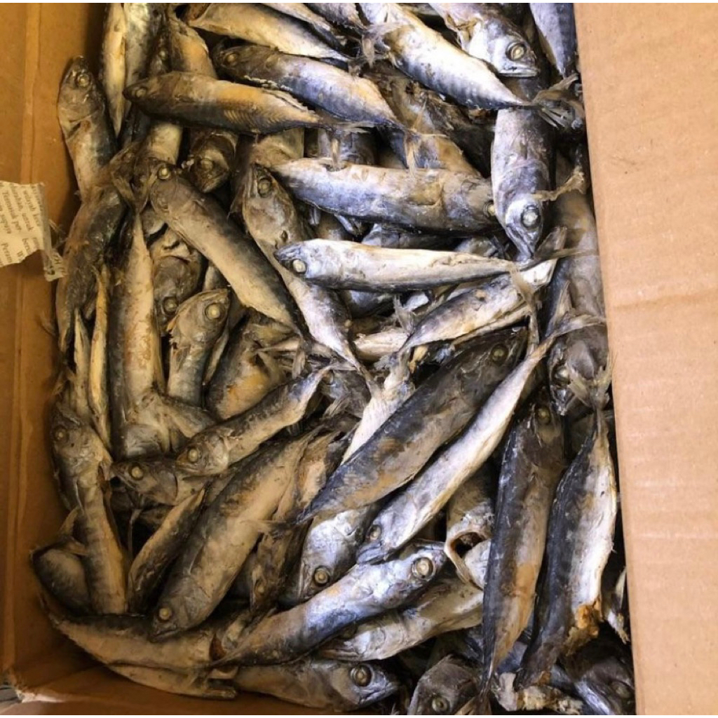 

Ikan Asin Rebus Tongkol 500 gr