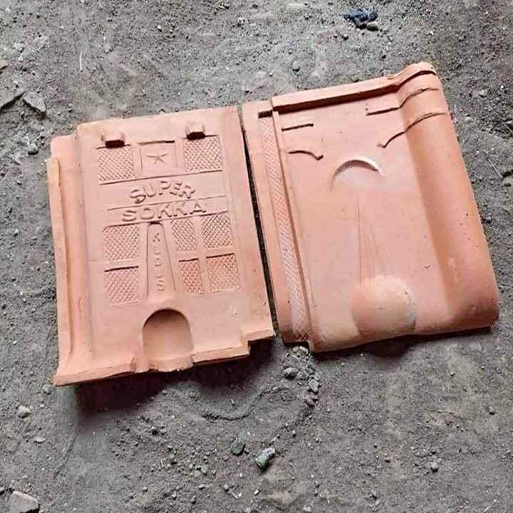 genteng atap rumah milimalis model kodok suoer sokka