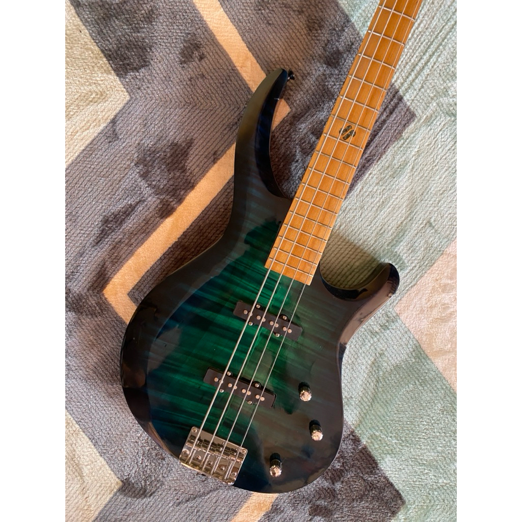 bass LTD Custom senar 4