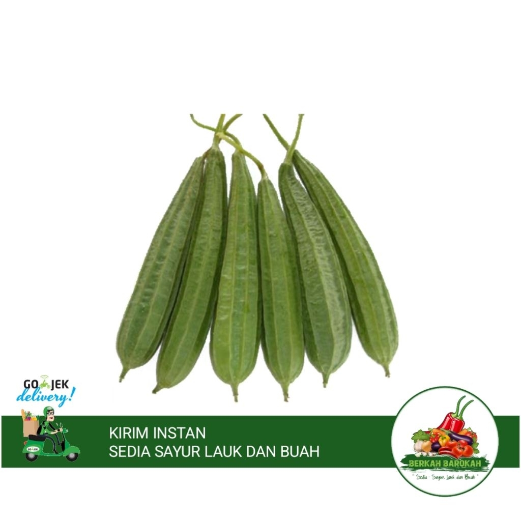 

Oyong / Gambas 500 gram