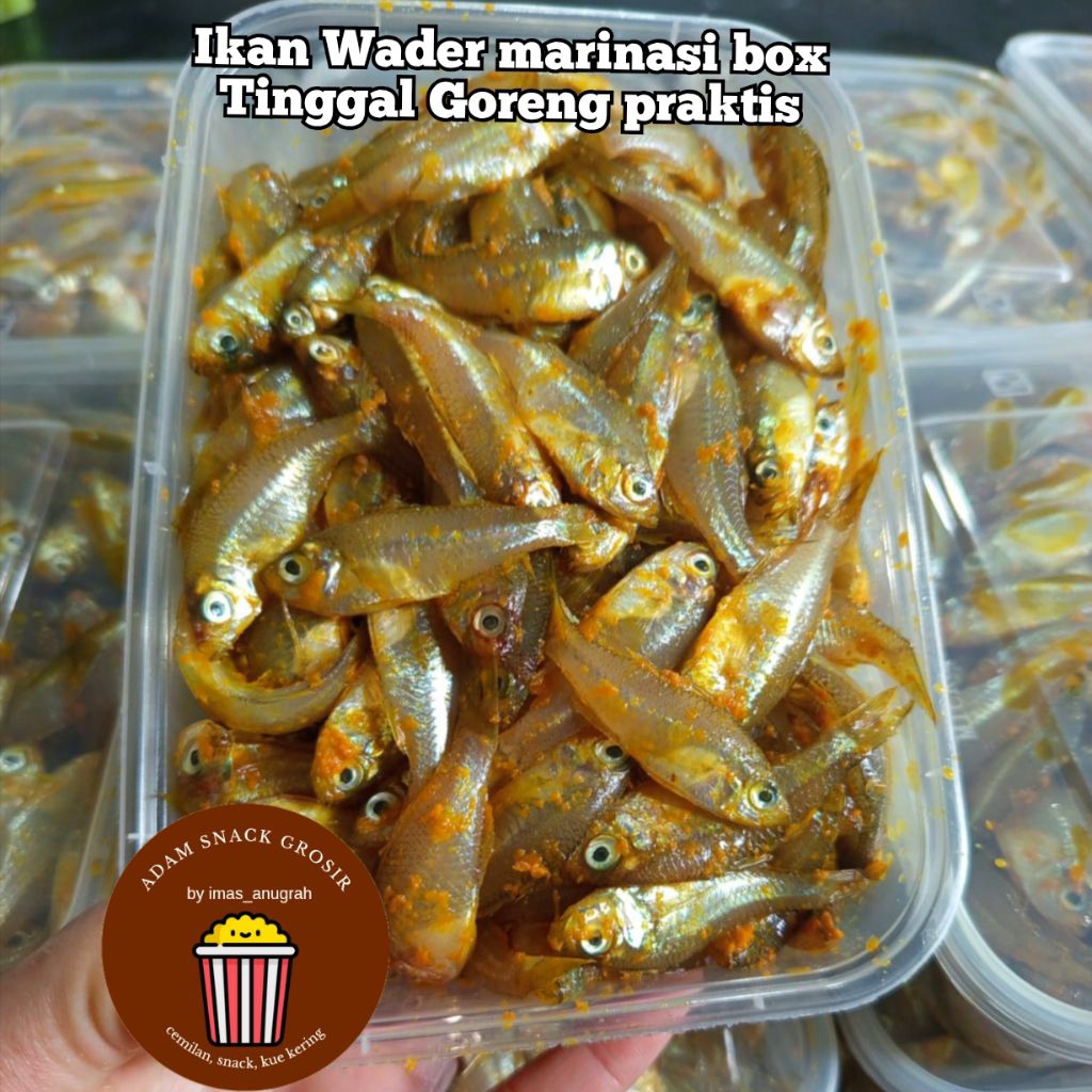 

IKAN WADER MARINASI/ TINGGAL GORENG