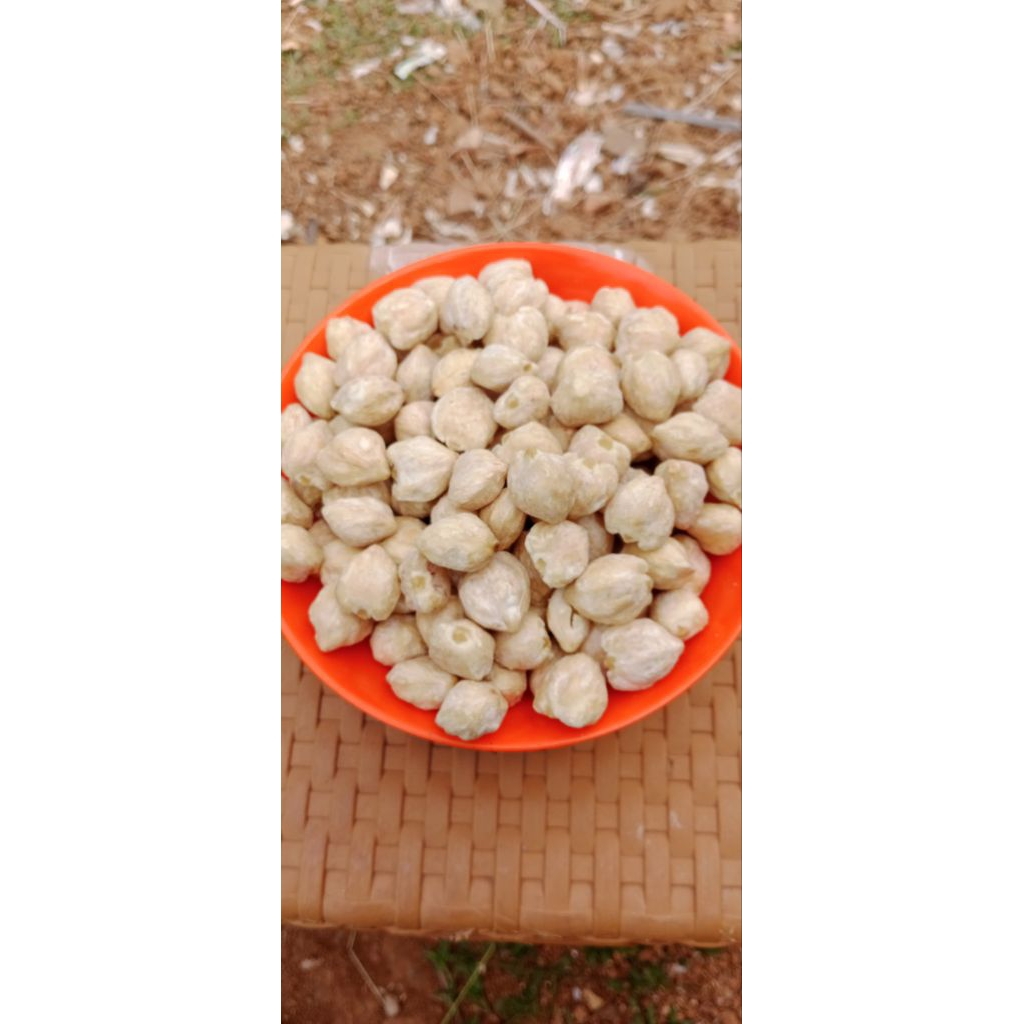 

kemiri bulat bumbu rempah 1 kg