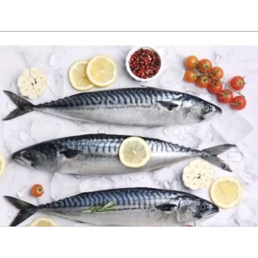 

ikan salem/ shalem frozen ±500 g