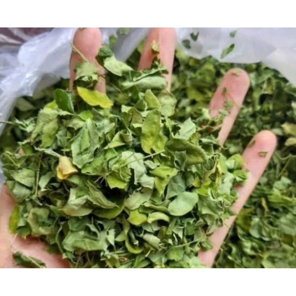 

Daun Kelor Kering 500 gr / 1 kg. Daun Kelor Sehat Segar