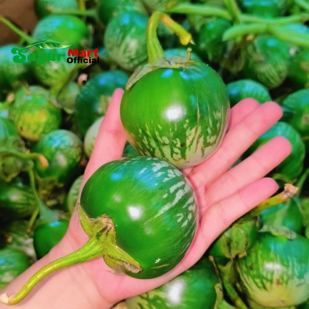 

Terong Lalap hijau / ungu 250gr INSTAN