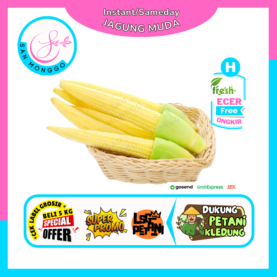 

Sanmonggoo >> Jagung Muda / Janggel / Posol -- Baby Corn (H)