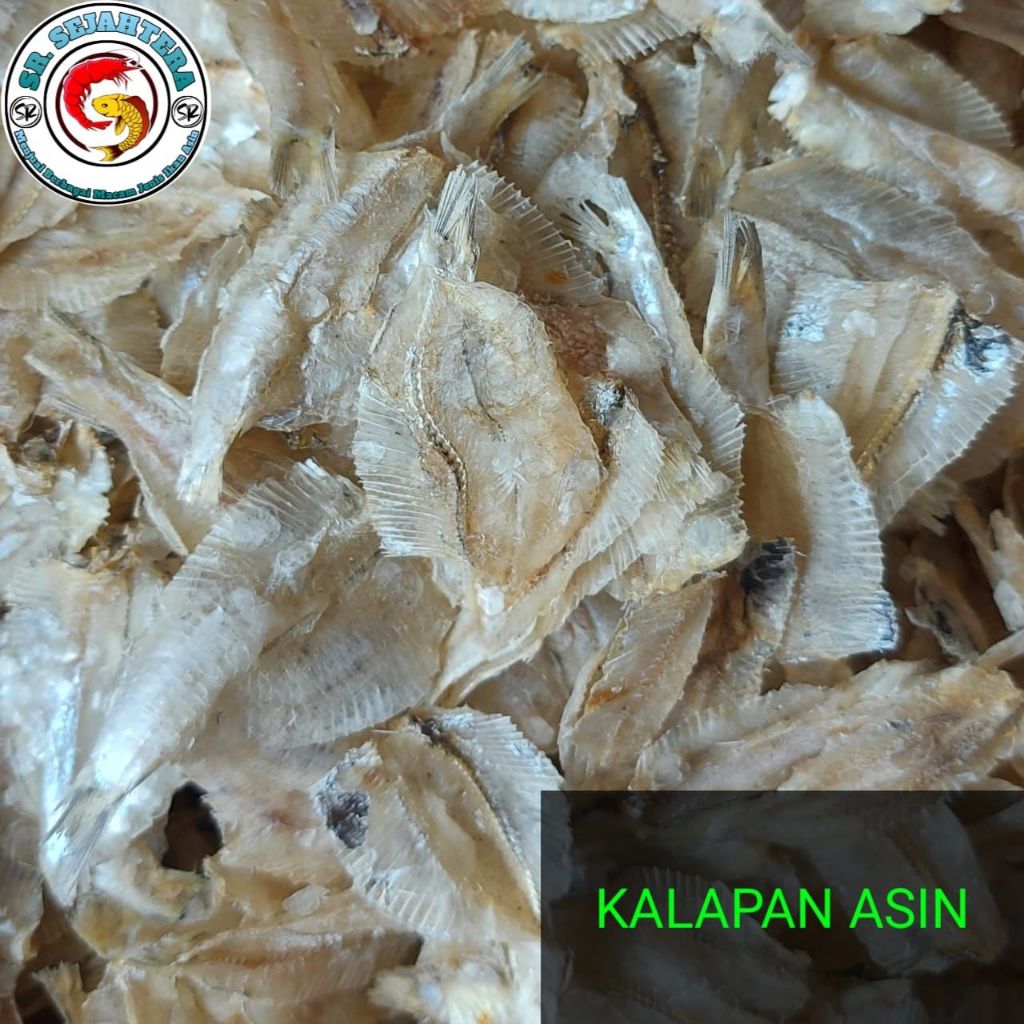

IKAN ASIN KALAPAN / IKAN KALAPAN ASIN / IKAN KALAPAN / IKAN ASIN