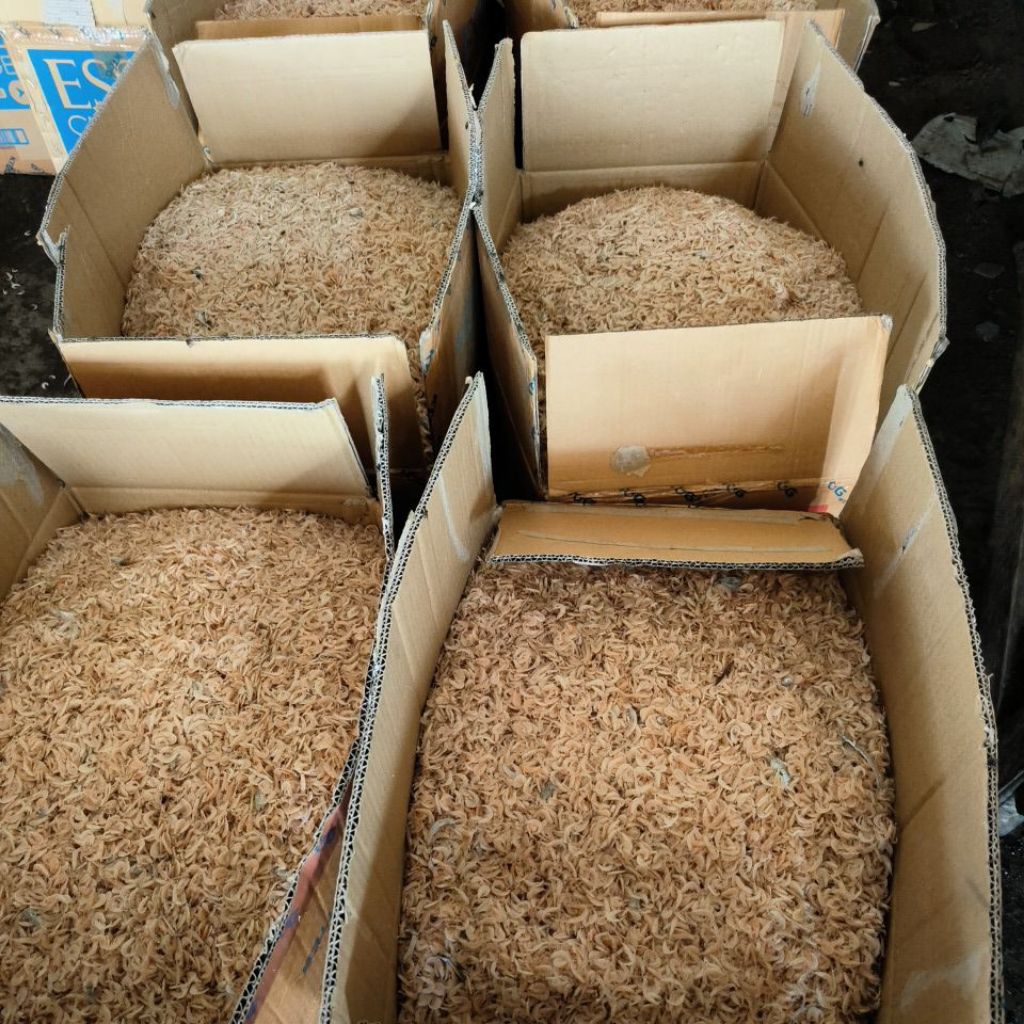 

Rebon Kering 500gr fresh