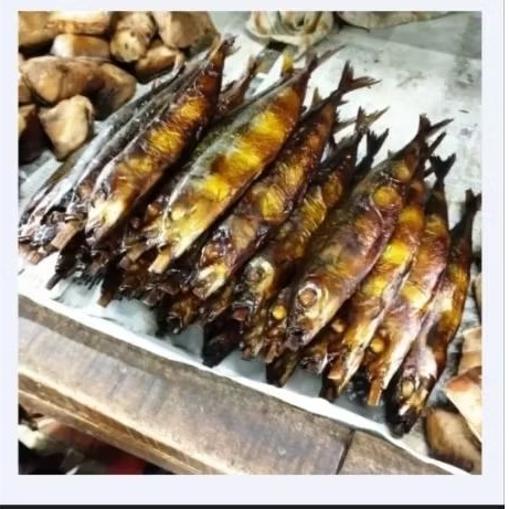 

Ikan Asep Salem 1 ekor