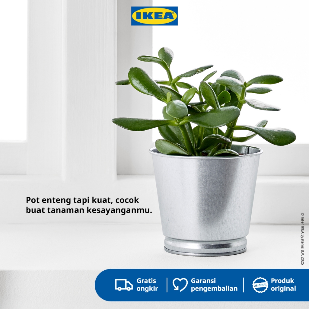 IKEA BINTJE Pot Tanaman Galvanis 9 cm