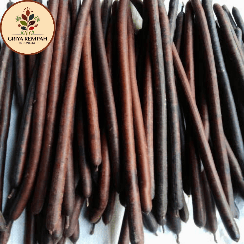 

ASAM TRENGGULI KERING 1 KG – Biji Asem Tengguli Ramuan Rempah Herbal Alami Berkualitas untuk Kesehatan Jamu tradisional Simplisia Cassia fistula