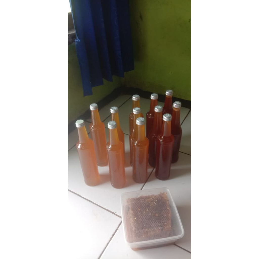

Madu Asli Hutan
