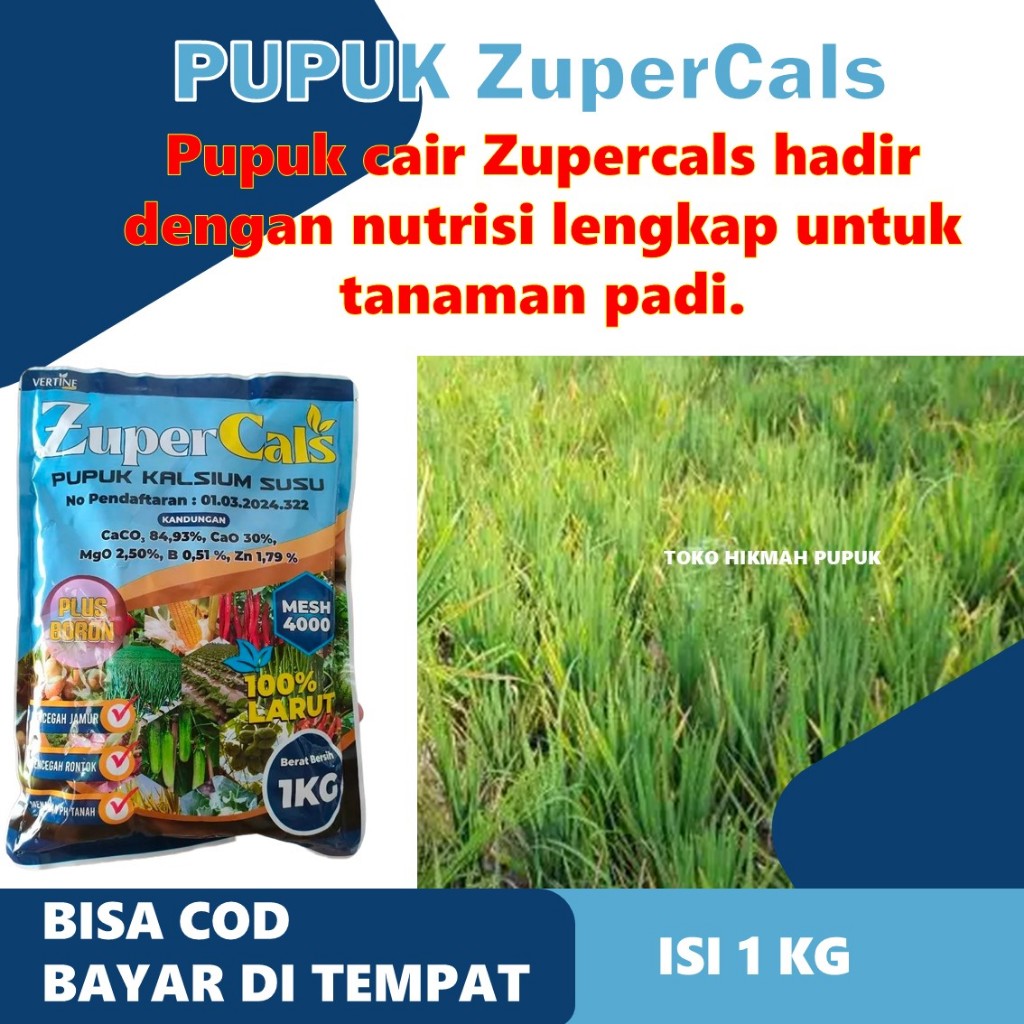 Zupercals Pupuk Organik Cair Tanaman Padi – Solusi Daun Kuning, Kresek, Layu & Hawar Daun Untuk Padi