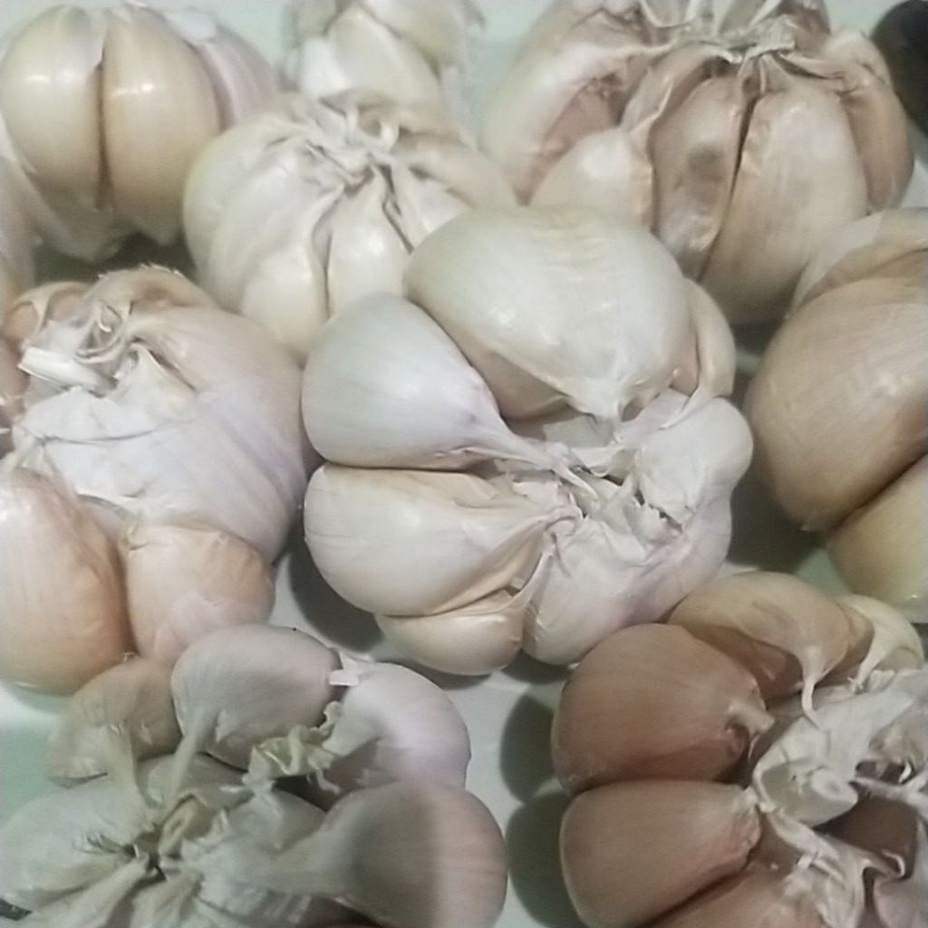 

bawang putih 100g,250g,500g