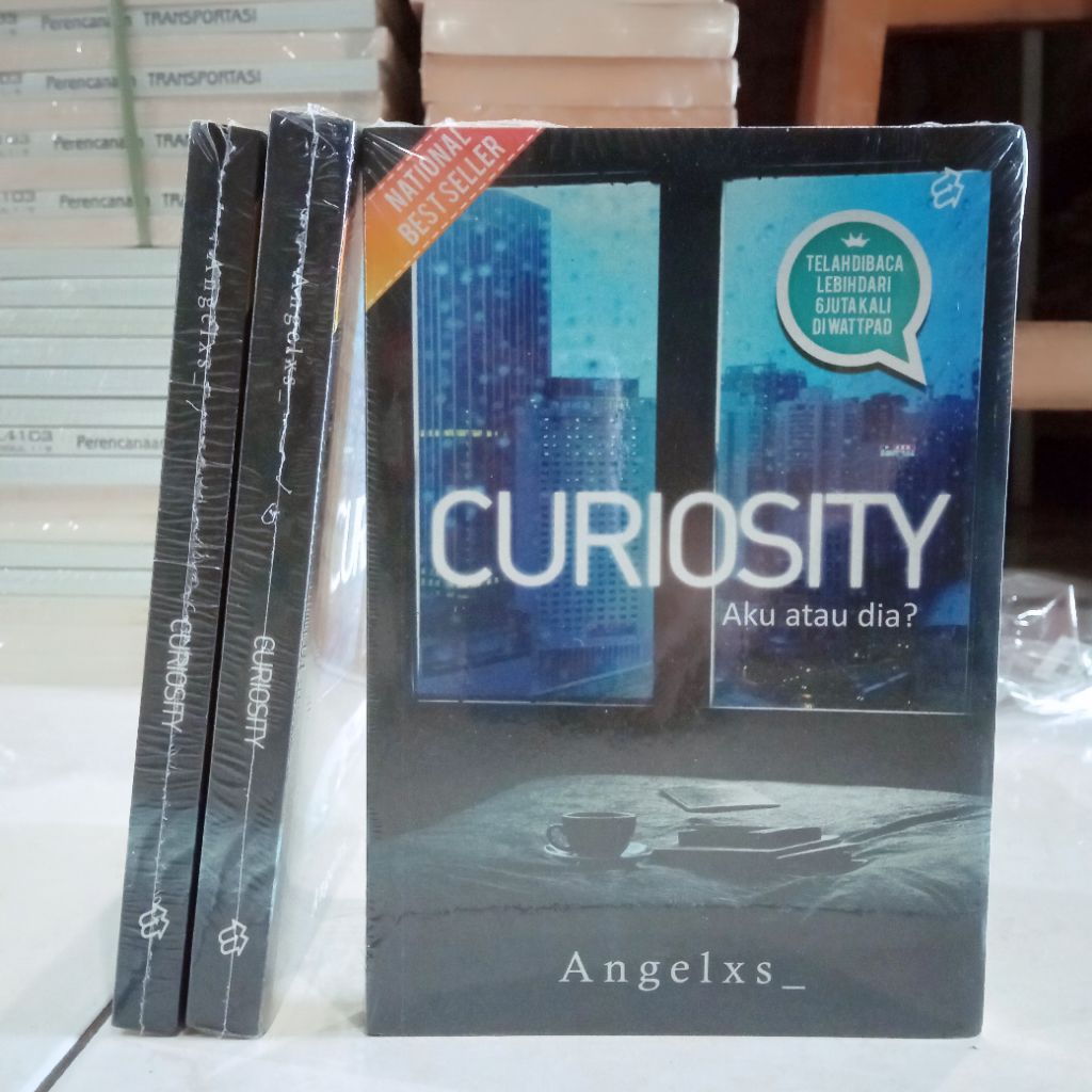 (ORIGINAL) BUKU NOVEL / NOVEL REMAJA / CURIOSITY