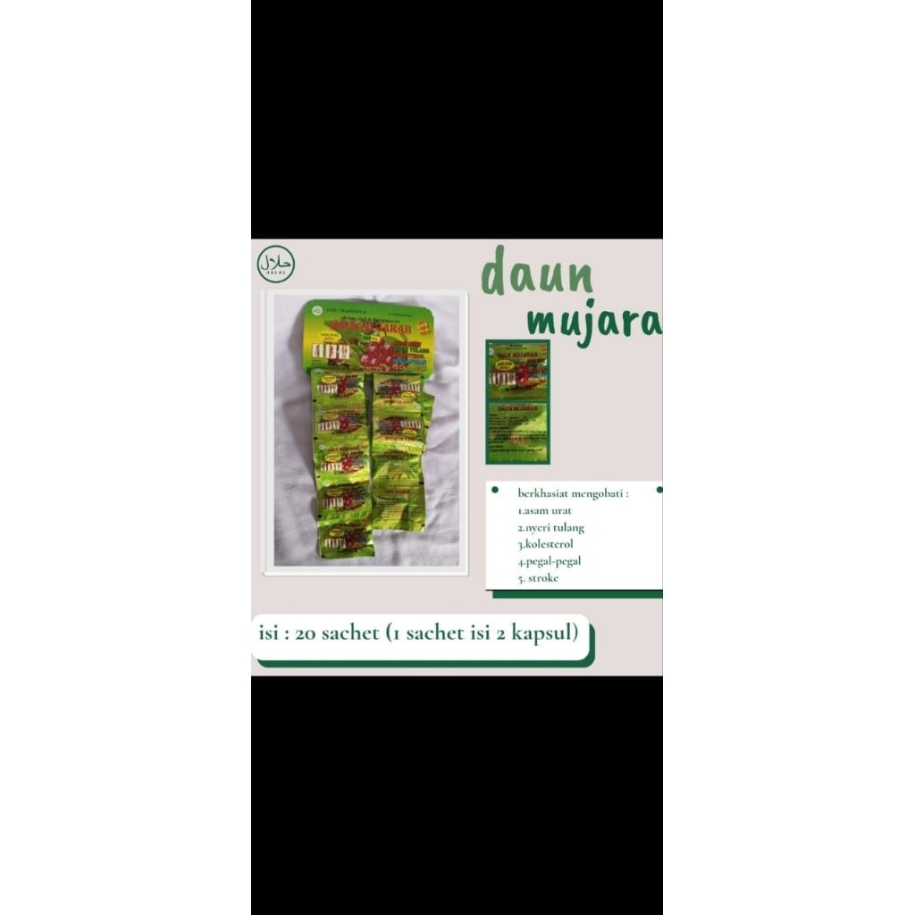 

Daun munjarab herbal ori