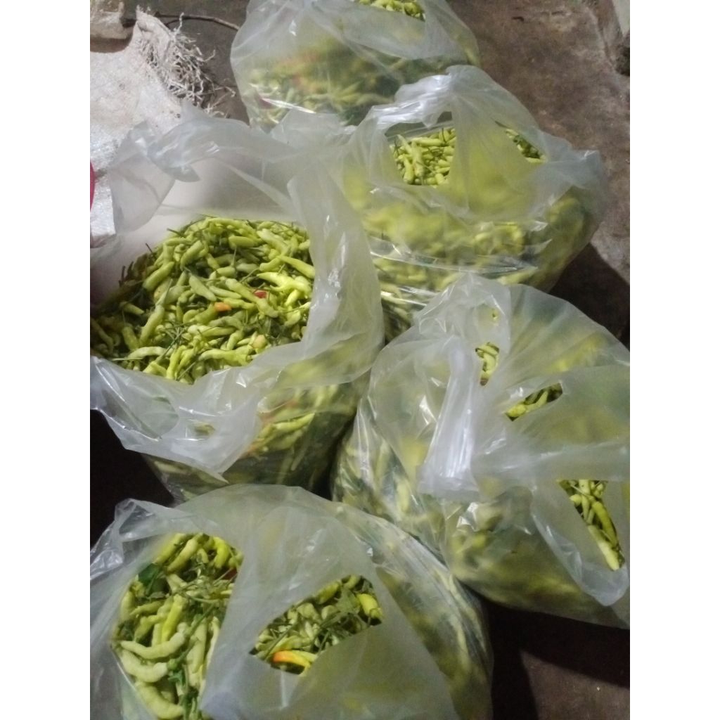 

cabai rawit hijau putih