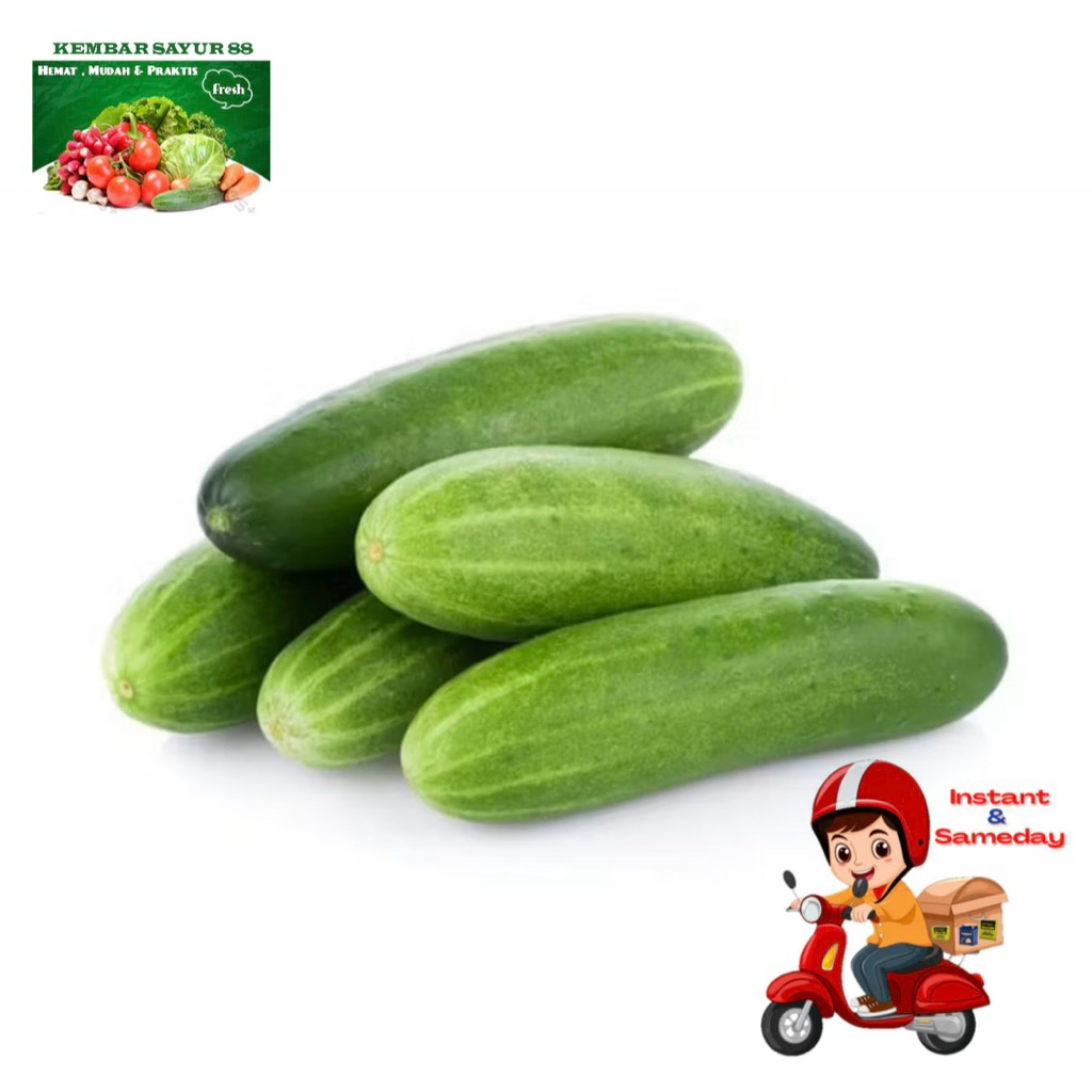 

Timun - Kembarsayur88