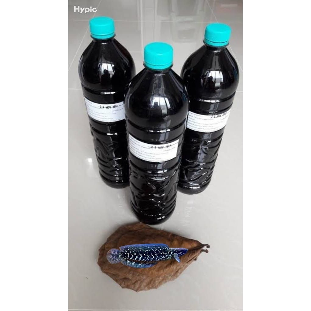 extrak ketapang asiatica ws 4cm paket 10pcs