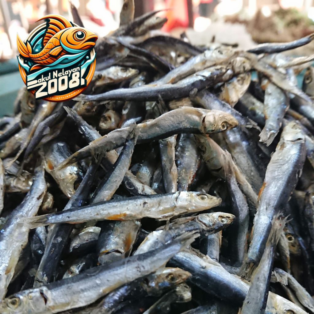 

Ikan asin Teri batu besar