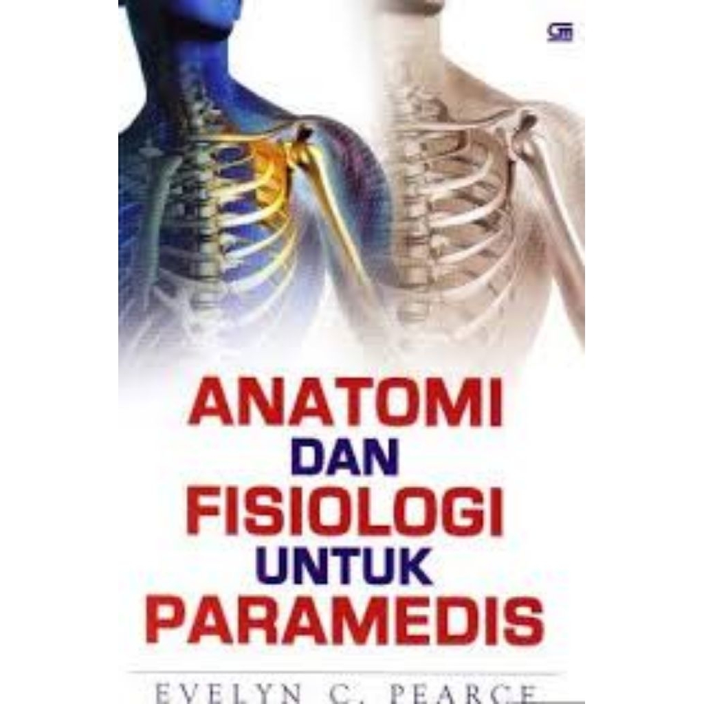 ANATOMI DAN FISIOLOGI evelyn