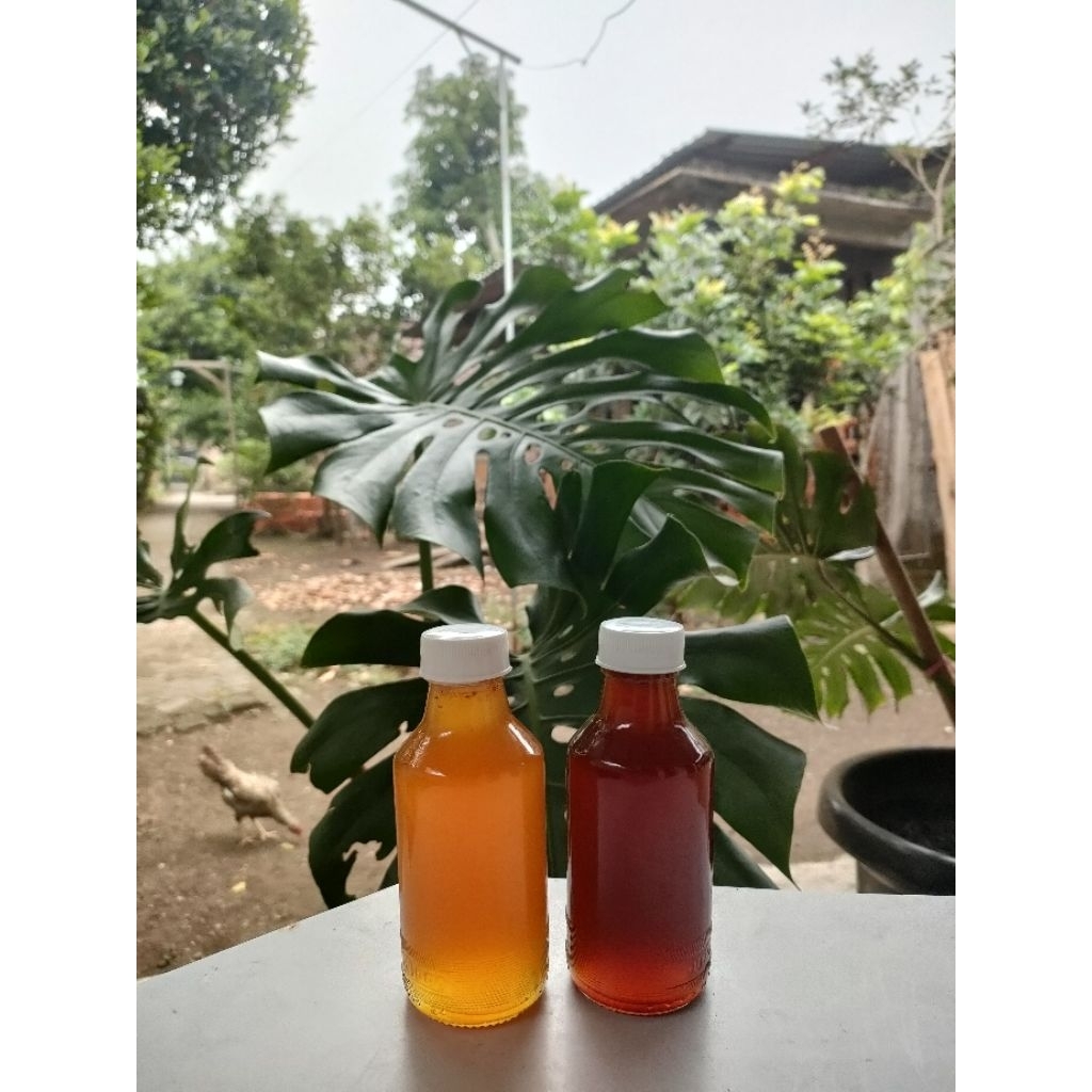 MADU TAWON LIAR. MADU HUTAN. MADU ASLI