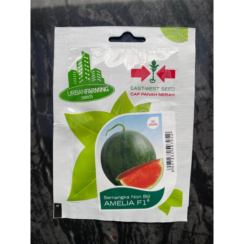 Benih Bibit Semangka Non Biji Amelia F1 - Panah Merah