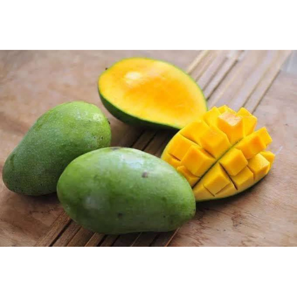 

MANGGA - 36 FRESH PALEMBANG