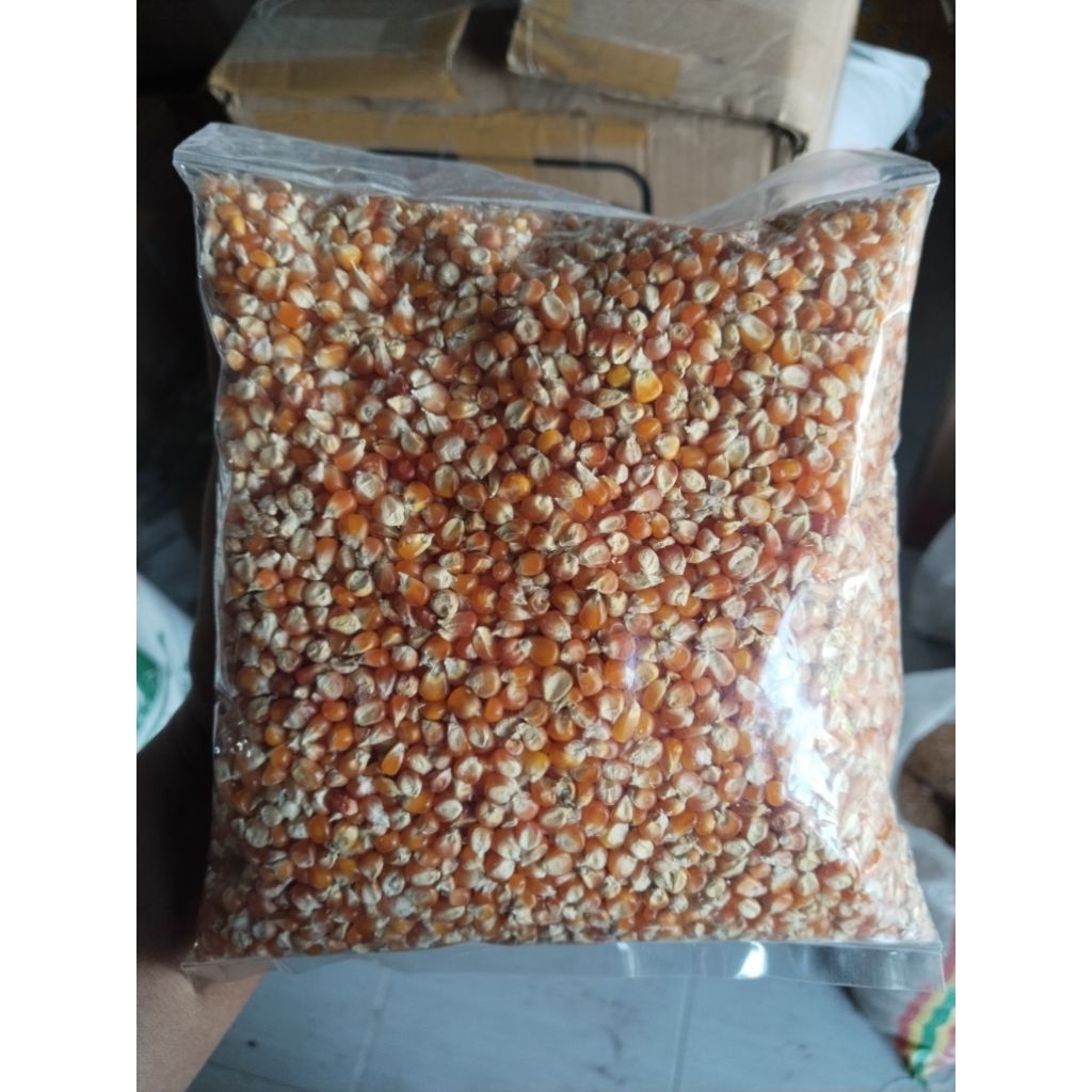 JAGUNG MERPATI 1kg