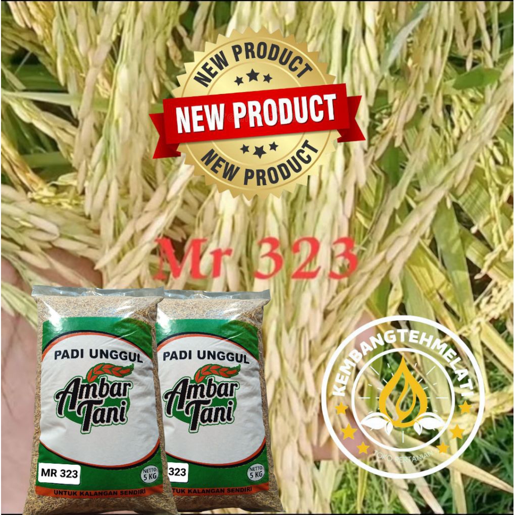 Benih Padi Bibit Padi Unggul MR 323 TERBARU Kemasan 5KG Original