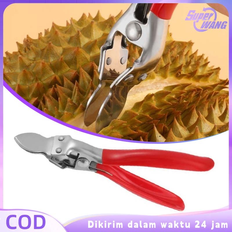 Tang Pembuka Durian Alat Kupas Durian Stainless Alat Pengupas Durian Tang Buka Durian