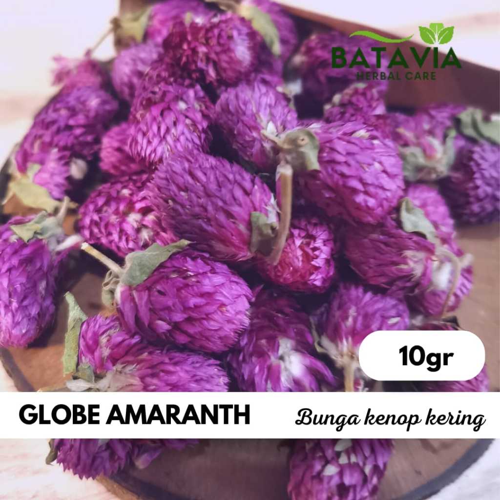 

Globe Amaranth Tea Teh Bunga Kenop Flower Tea Premium
