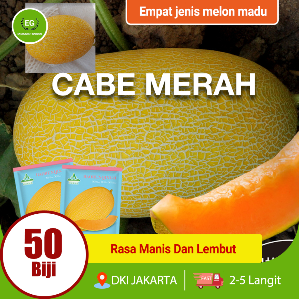 BENIH MELON EMAS MANIS PREMIUM