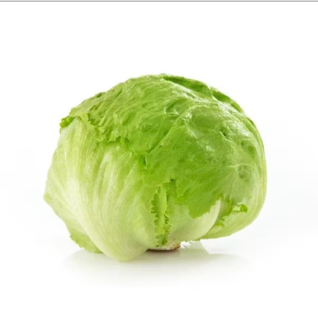 

selada lettuce ice breg 1kg/2kg